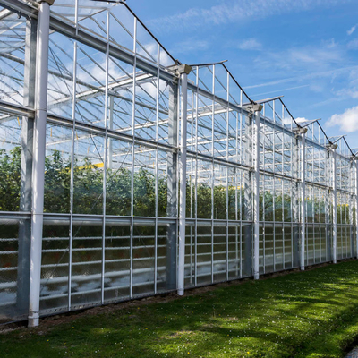 Wachsendes Wasserkultursystem-landwirtschaftliches Solarglasgewächshaus für Gemüse