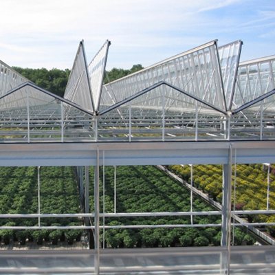 Landwirtschaftliche ausgeglichene Glas-Venlo-Art Gewächshaus mit 48mm Spalte