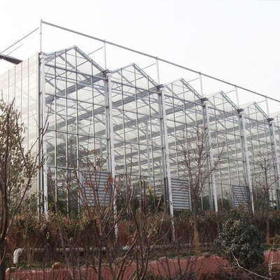 Wachsendes Wasserkultursystem-landwirtschaftliches Solarglasgewächshaus für Gemüse