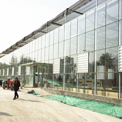 Ausgeglichenes Glas Venlo täfelt automatisches System Stahlrahmen-Gewächshaus-Europas