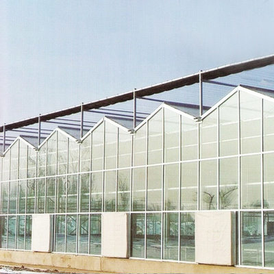 Ausgeglichenes Glas Venlo täfelt automatisches System Stahlrahmen-Gewächshaus-Europas