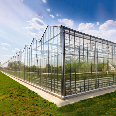 Automatisiertes Betriebshydroponik-Glas-Wand-Gewächshaus für Tomaten-Erdbeere