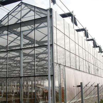 Landwirtschafts-Anlagen, die Glasgewächshaus multi Spanne Venlo mit abkühlender Auflage wachsen