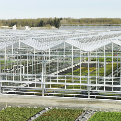 Wachsendes Glaswasserkulturgewächshaus des System-Venlo galvanisierte Stahlrahmen