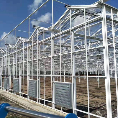 Multi gewächshaus-Fiberglas-Bedeckung 1000m2 Spannen-Stahlkonstruktion Venlo Glas