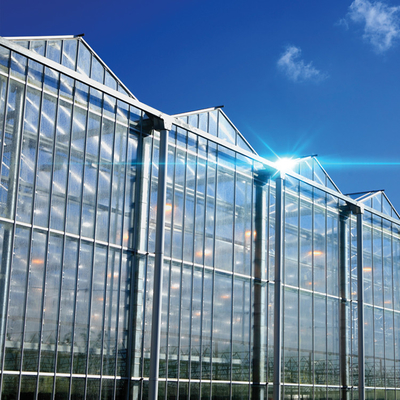 Polykarbonat-Hohlplattenglas Industrie-Außen-Multispan-Glas Professionelles holländisches Gewächshaus für Blumenpflanzung
