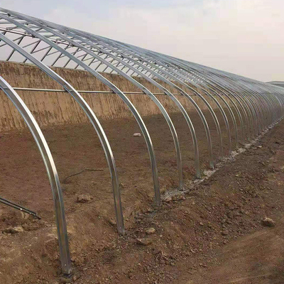 Wasserkulturkindertagesstätten-Komplettsystem-Film-passives Solargewächshaus für Tomate
