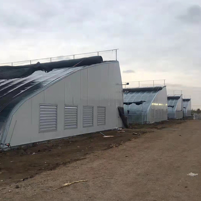 Wasserkulturkindertagesstätten-Komplettsystem-Film-passives Solargewächshaus für Tomate