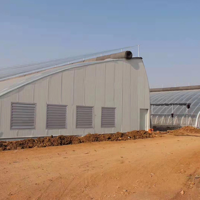 Einzelner Spannen-Tunnel-Solargewächshäuser mit doppel-wandiger und isolierender Decke