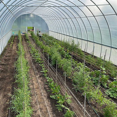 Plastikfilm-Tunnel-einzelne Spannen-Gewächshaus-Hitze-Bewahrung für Winter-Tomate