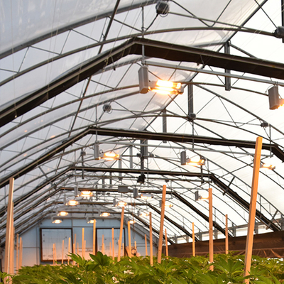 Heller Dep Automated Blackout Greenhouse Black-Vorhangstoff für Gemüse