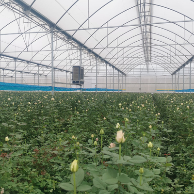 Saatbeet-Kindertagesstätten-multi Spannen-Tunnel-Plastikgewächshaus für Erdbeerdas pflanzen
