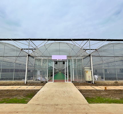 Multi Spannen-landwirtschaftliches Plastikfilm-Gewächshaus besonders angefertigt für das Tomaten-Pflanzen