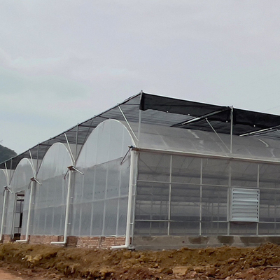 Gemüse legt kommerzielles großes Multispan-Plastikgewächshaus einen Tunnel an