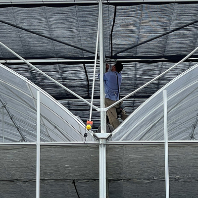 Galvanisierte Stahlrohr-Bogen-Dach-Art Plastikfilm-Gewächshaus mit Hydroponik-System