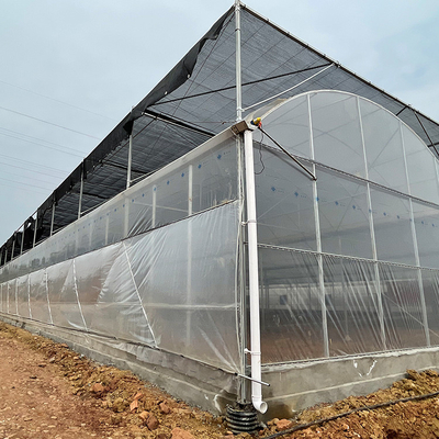 Tomaten-multi Spannen-Gewächshaus Serre Invernadero landwirtschaftlich mit intelligentem Film