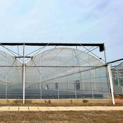 Tomaten-multi Spannen-Gewächshaus Serre Invernadero landwirtschaftlich mit intelligentem Film