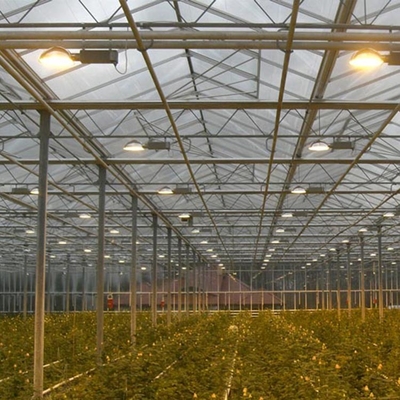 Klima-Prüfer-Polycarbonate Multi Span-Gewächshaus für Gemüseproduktion