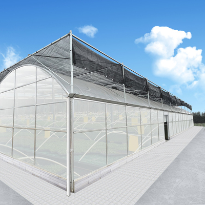 Klima-Prüfer-Polycarbonate Multi Span-Gewächshaus für Gemüseproduktion