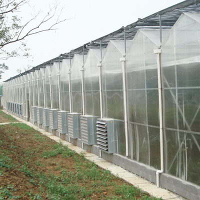 Landwirtschafts-Wasserkultursystem-Polycarbonats-Blatt-Gewächshaus-multi Spanne 30 x 100