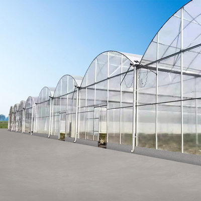 Multispan-Polycarbonats-Tunnel-Gewächshaus für die Gemüse-Zucht