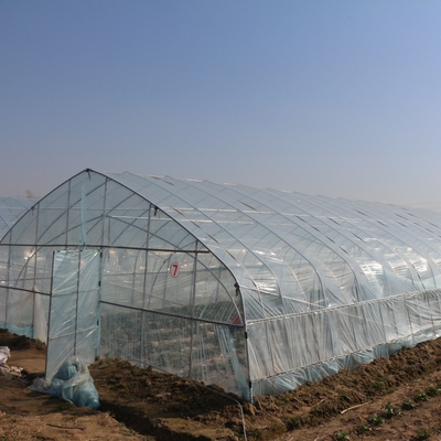 Landwirtschafts-einzelnes Tunnel-Plastikfilm-Gewächshaus für die Erdbeere, die das Wachsen pflanzt