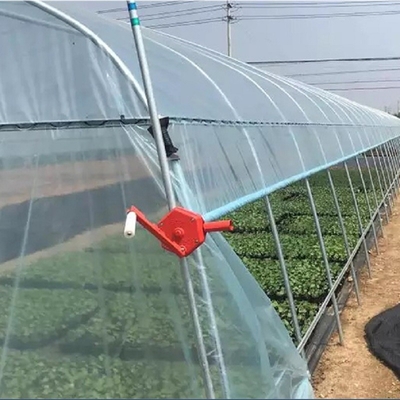Galvanisiertes Stahlrahmen-Tunnel-Plastikfilm-Gewächshaus für Gemüse-Anlagen wachsen