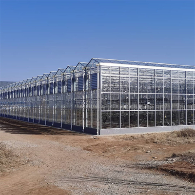 Ausgeglichenes Glasgewächshaus-Sonnenlicht Venlo-Isoliergewächshaus für Gartenbau