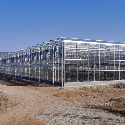 Polykarbonat-Hohlplattenglas Industrie-Außen-Multispan-Glas Professionelles holländisches Gewächshaus für Blumenpflanzung