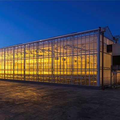 Polykarbonat-Hohlplattenglas Industrie-Außen-Multispan-Glas Professionelles holländisches Gewächshaus für Blumenpflanzung
