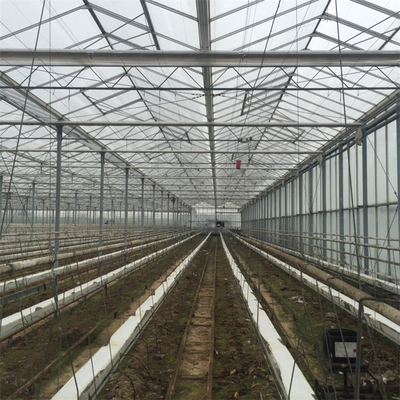 Landwirtschafts-multi Spanne automatisches Glasgewächshaus Venlo für die Gemüse-Zucht