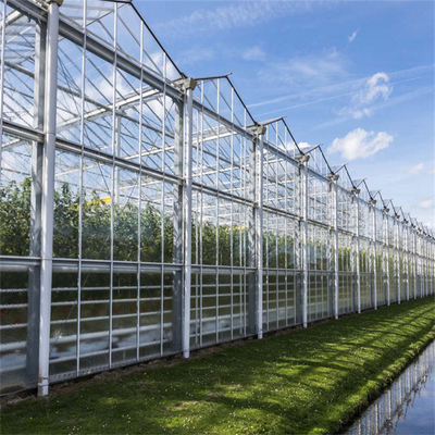 Feuerverzinkungs-Stahl- Rahmen photo-voltaisches Solar-Glasgewächshaus-multi Spanne Venlo