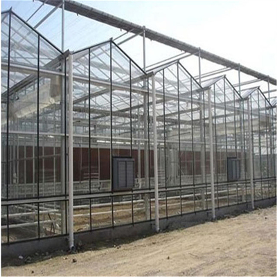 Multi Spannen-Glasgewächshaus-tropischer Solarwasserkulturblumen-Gemüsebau