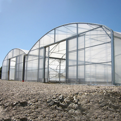 Multi Spannen-Gemüsetierzierpflanzenbau-Landwirtschafts-Polycarbonats-Blatt-Gewächshaus