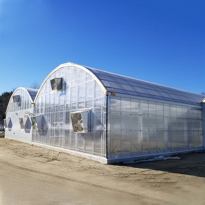 Landwirtschaftliches Polycarbonats-Blatt-Gewächshaus-schlüsselfertiges Projekt Serre Agricole intelligent