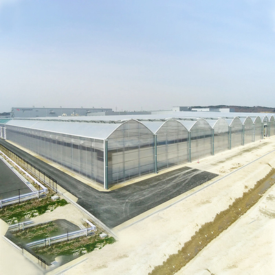 Landwirtschaftliches Polycarbonats-Blatt-Gewächshaus-schlüsselfertiges Projekt Serre Agricole intelligent