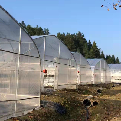 Einzelnes Spannen-Plastikfilm-Tunnel-Gewächshaus für das landwirtschaftliche Betriebswachsen