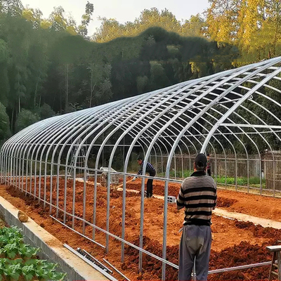 Einzelnes Spannen-Plastikfilm-Tunnel-Gewächshaus für das landwirtschaftliche Betriebswachsen
