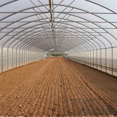 Plastiktunnel-einzelnes Spannen-Gewächshaus landwirtschaftlich für Erdbeere