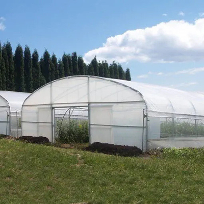 Landwirtschaftliches Plastiktunnel-Gewächshaus-Band-Gewächshaus für das Wachsen Gemüse