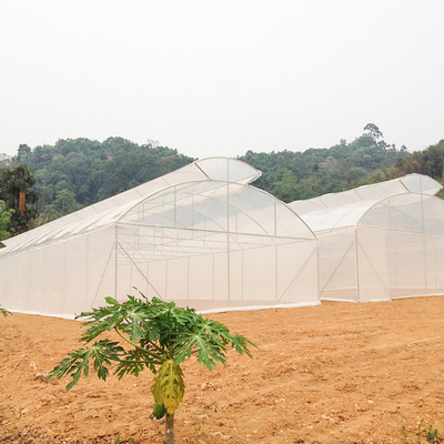 Landwirtschafts-einzelne Spannen-einzelnes Tunnel-Regenschirm-Dach-Entlüftungs-Gewächshaus für heißen Bereich