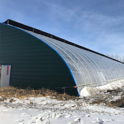 Kalter Bereichs-Winter-passiver Solargewächshaus-Plastikfilm-einzelner Tunnel