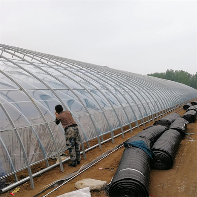Landwirtschafts-Tomaten-passives Solargewächshaus mit Heizsystem