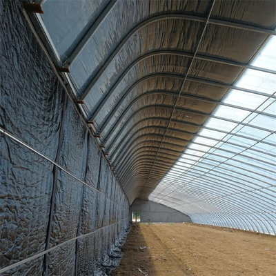 Kalter Bereichs-Winter-passiver Solargewächshaus-Plastikfilm-einzelner Tunnel