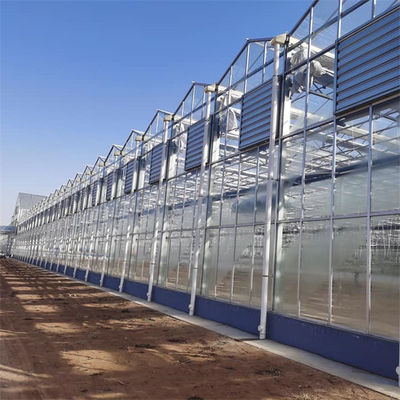Multi Spannen-Glasgewächshaus-tropischer Solarwasserkulturblumen-Gemüsebau