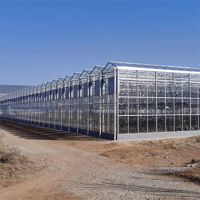 Handelsmulti Spannen-Glasgewächshaus-landwirtschaftliche Betriebsbearbeitung