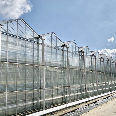 Multi Spanne galvanisiertes Glasgewächshaus Stahlrahmen-Glasbedeckung Venlo