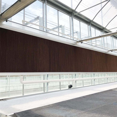 Venlo automatisierte landwirtschaftliche Betriebsdie ausgeglichene Glasgewächshaus-multi Wasserkulturspanne