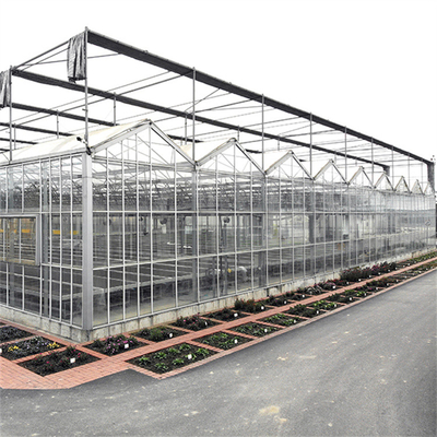 Landwirtschafts-Blumen-Gewächshaus-Glas industrielles professionelles niederländisches Glasgewächshaus Multispan im Freien für das Blumen-Pflanzen