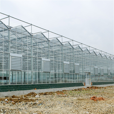 Die chinesische Landwirtschaft milderte Glasgewächshaus Venlo-Art galvanisierte Handels